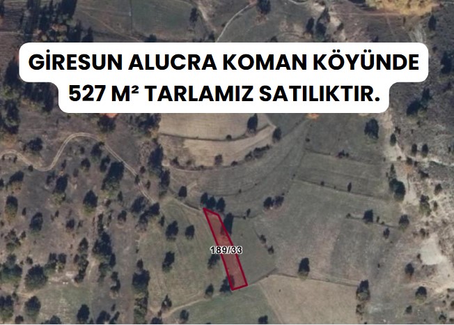 GİRESUN ALUCRA KOMAN  KÖYÜNDE 527  M² TARLA SATILIKTIR - GİRESUN ALUCRA fotoğraf 7